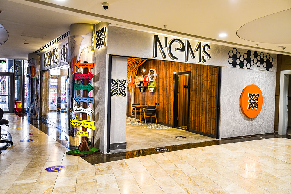 nems